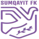 Logo Standard Sumgayit